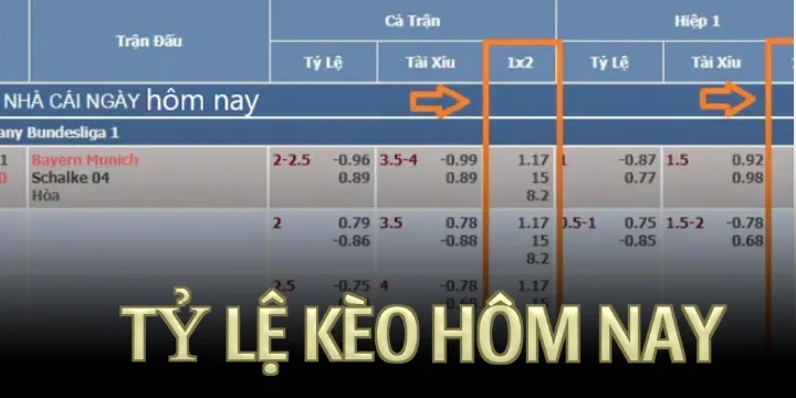Tỷ lệ kèo hôm nay - Phân tích và hướng dẫn cách đọc chính xác