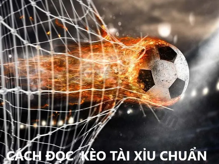 Cách đánh kèo Tài Xỉu chuẩn như chuyên gia không nên bỏ qua