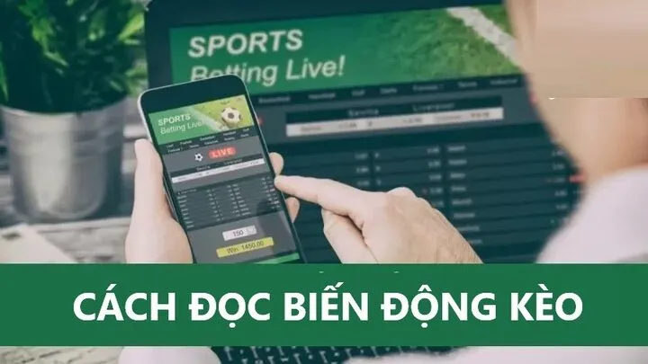 Hướng dẫn Cách đọc biến động kèo khi cá cược 