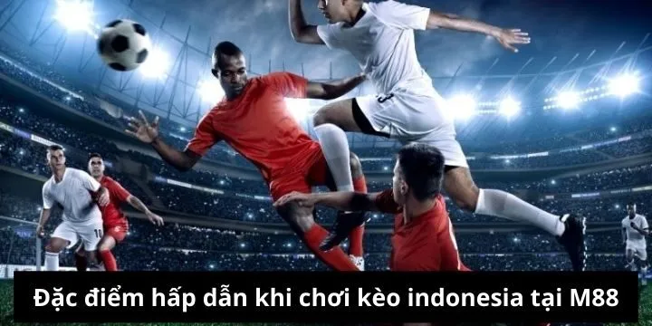 Điểm thu hút người chơi tham gia kèo Indonesia tại nhà cái