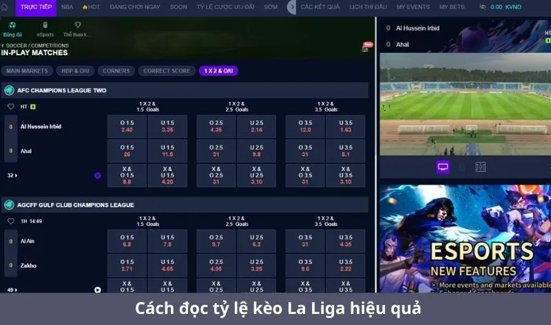 Cách đọc tỷ lệ kèo La Liga hiệu quả